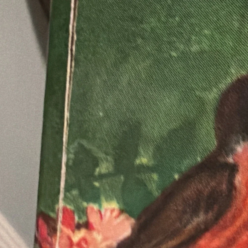 Vintage 1950 Junior Elf Book- Johnny and the Birds by Ian Munn, Rand McNally